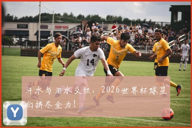 汗水与泪水交织,2026世界杯球星们拼尽全力!