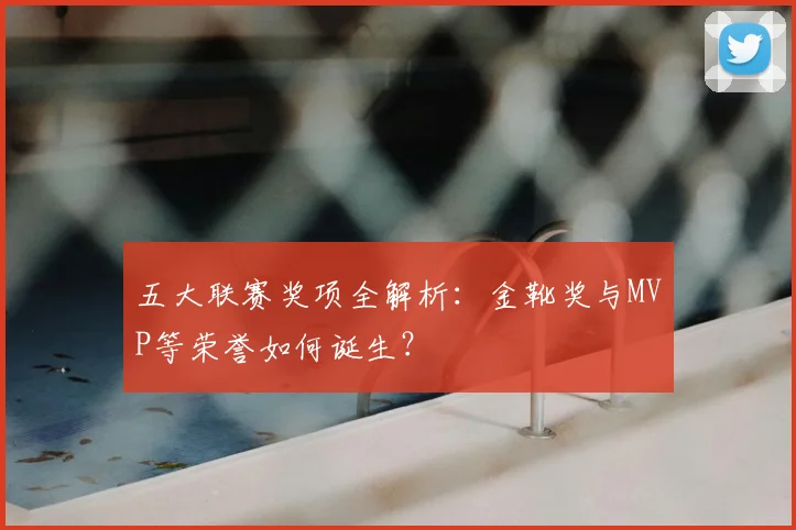 五大联赛奖项全解析：金靴奖与MVP等荣誉如何诞生？